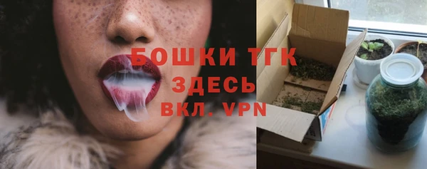 мет Арсеньев