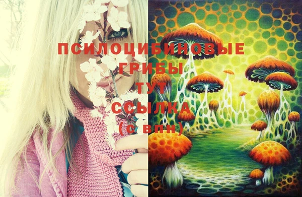 mix Аркадак