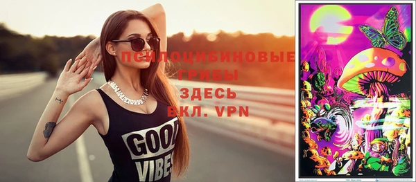 мет Арсеньев